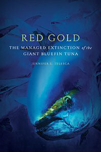The Managed Extinction of the Giant Bluefin Tuna